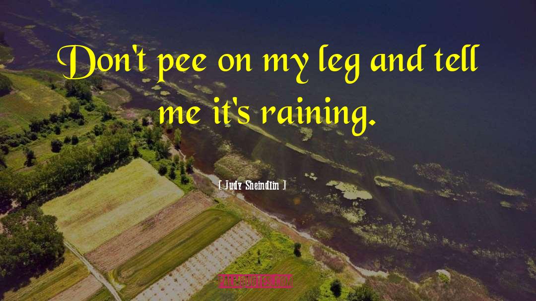 Judy Sheindlin Quotes: Don't pee on my leg