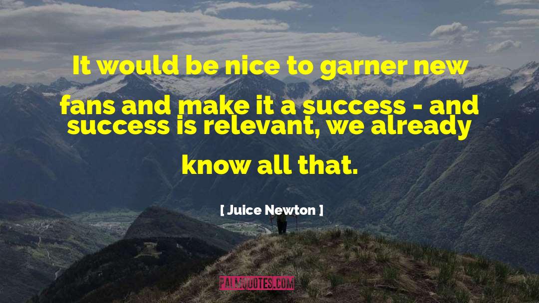 Juice Newton Quotes: It would be nice to