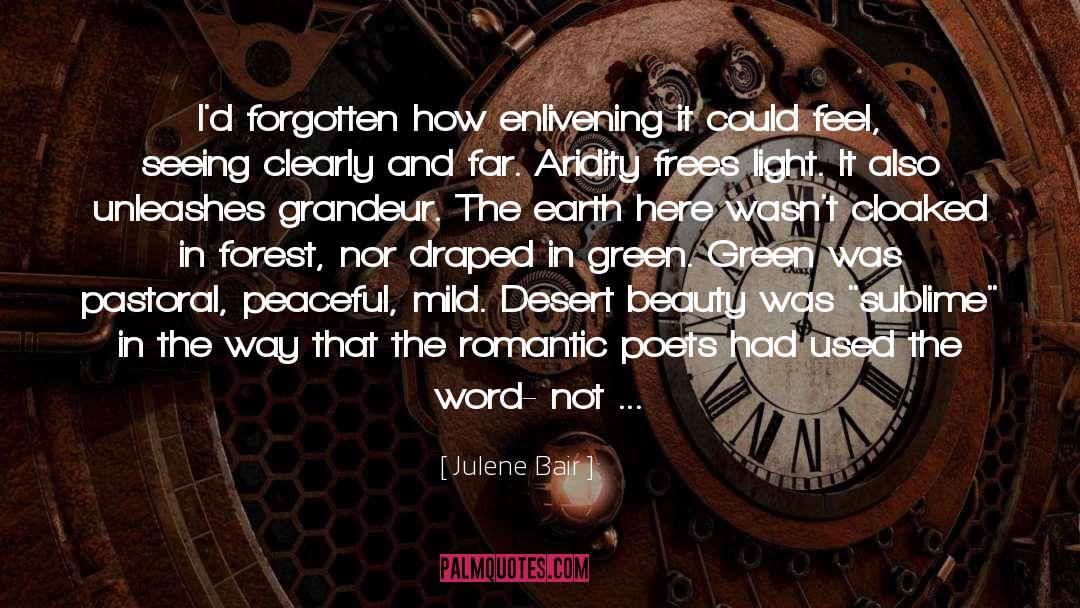 Julene Bair Quotes: I'd forgotten how enlivening it