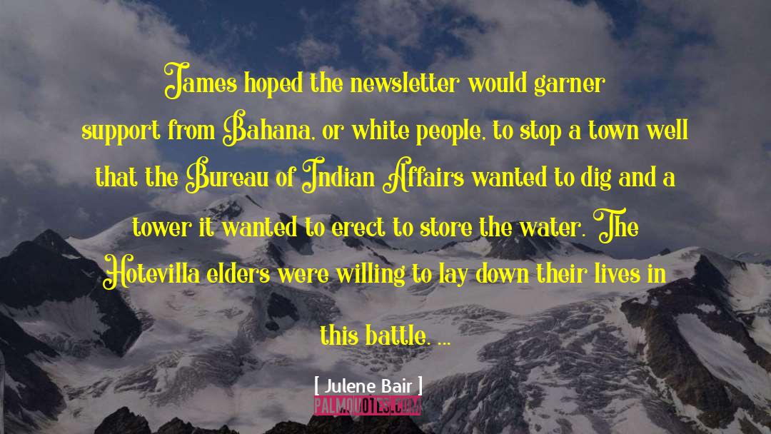 Julene Bair Quotes: James hoped the newsletter would