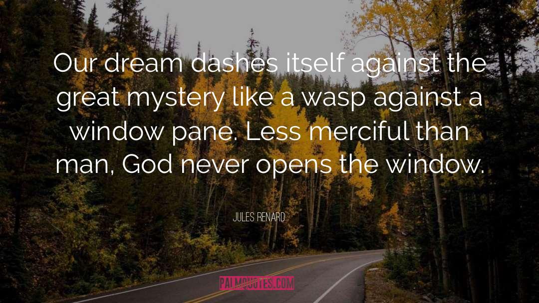 Jules Renard Quotes: Our dream dashes itself against