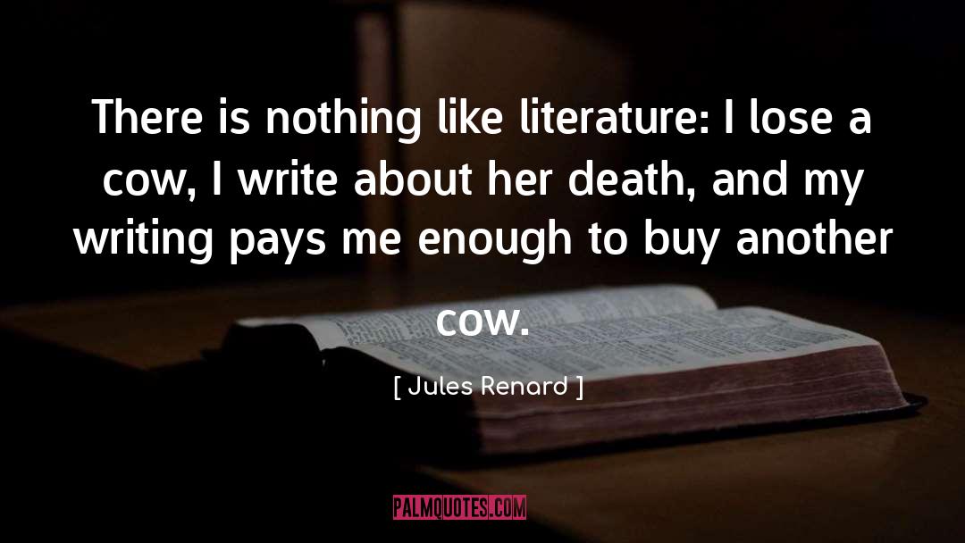 Jules Renard Quotes: There is nothing like literature: