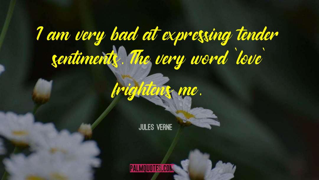 Jules Verne Quotes: I am very bad at