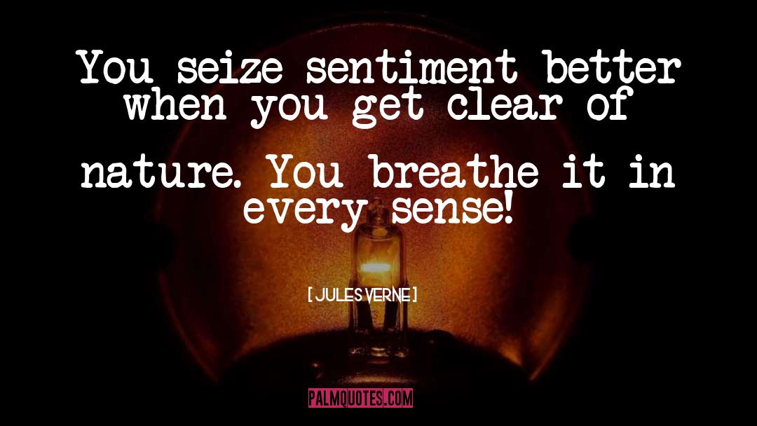 Jules Verne Quotes: You seize sentiment better when