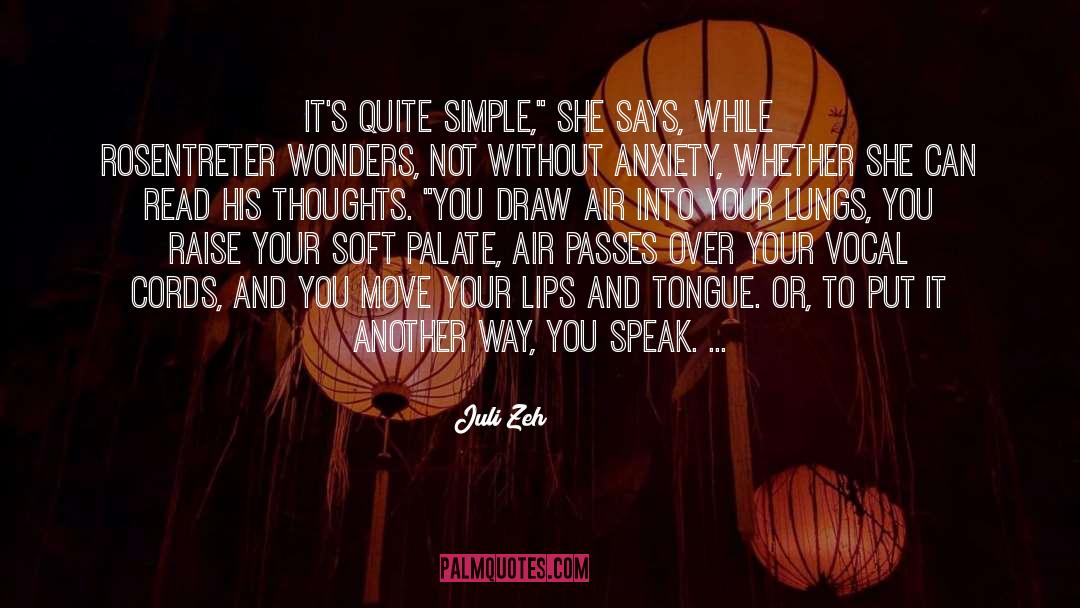 Juli Zeh Quotes: It's quite simple,