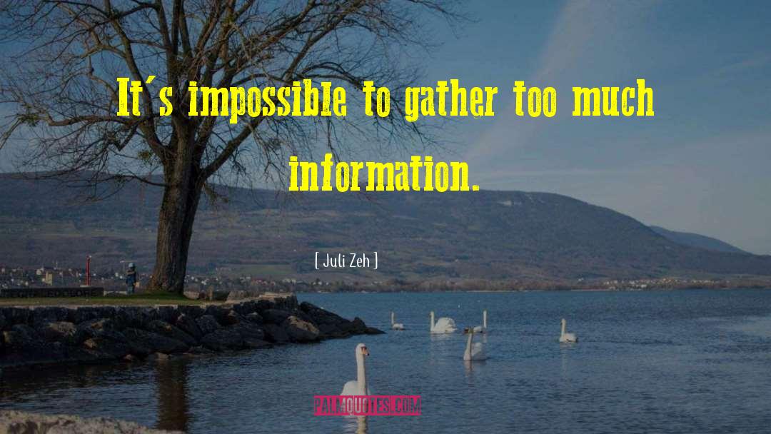 Juli Zeh Quotes: It's impossible to gather too