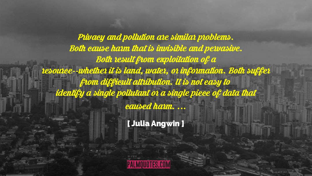 Julia Angwin Quotes: Privacy and pollution are similar