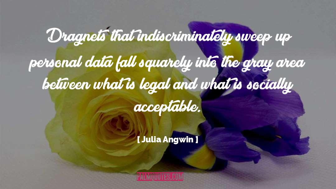 Julia Angwin Quotes: Dragnets that indiscriminately sweep up