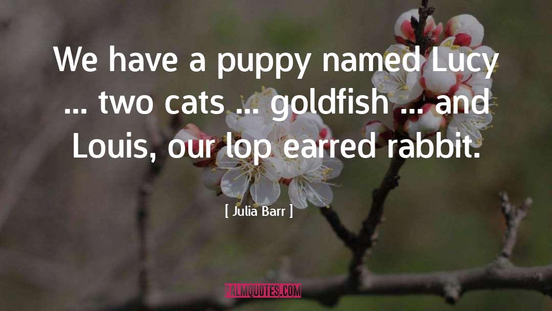 Julia Barr Quotes: We have a puppy named