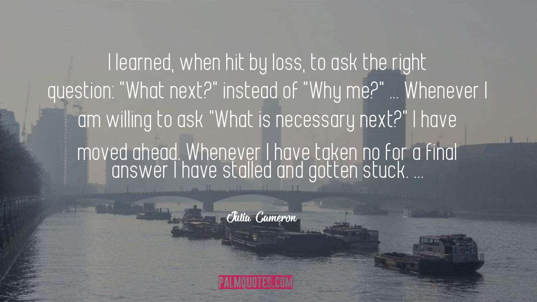 Julia Cameron Quotes: I learned, when hit by