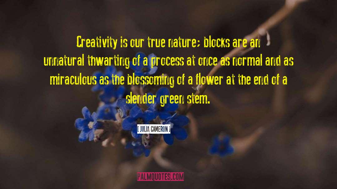 Julia Cameron Quotes: Creativity is our true nature;