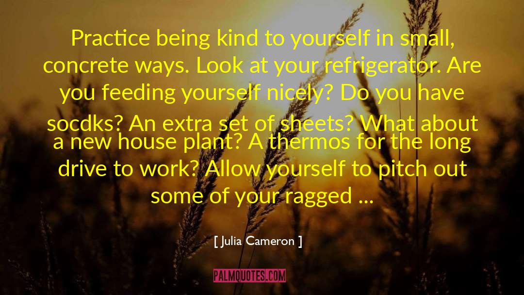 Julia Cameron Quotes: Practice being kind to yourself