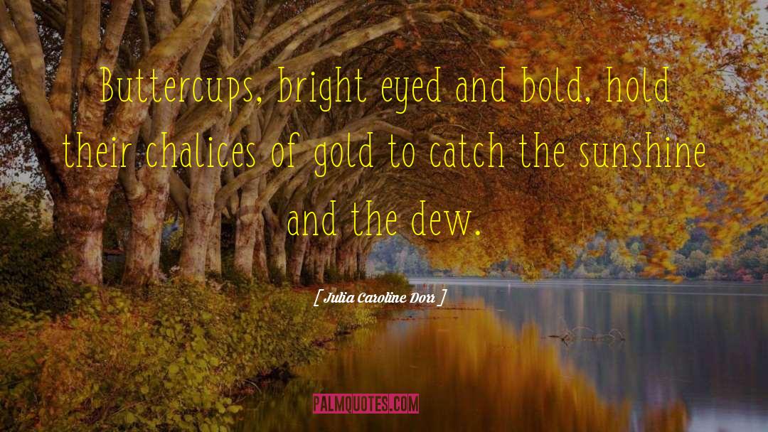 Julia Caroline Dorr Quotes: Buttercups, bright eyed and bold,