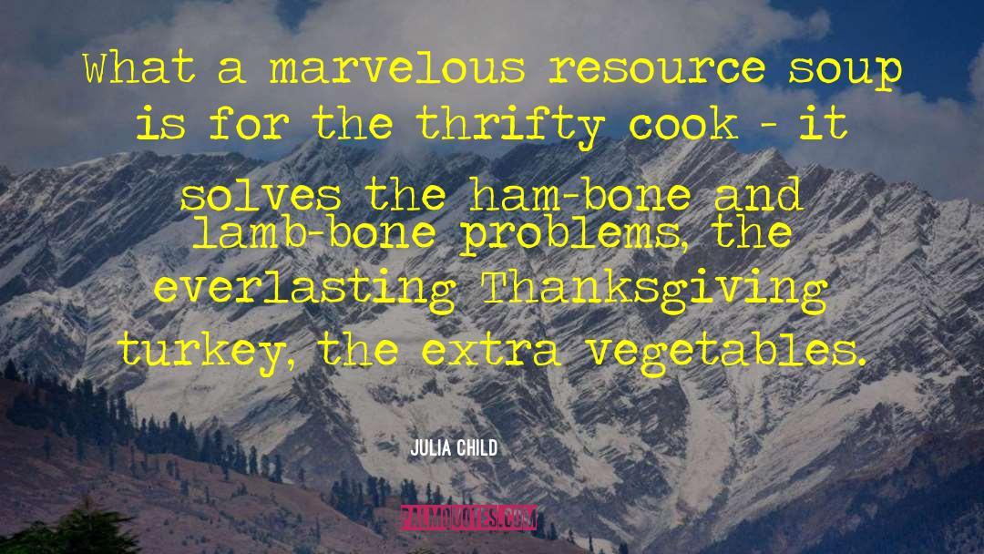 Julia Child Quotes: What a marvelous resource soup