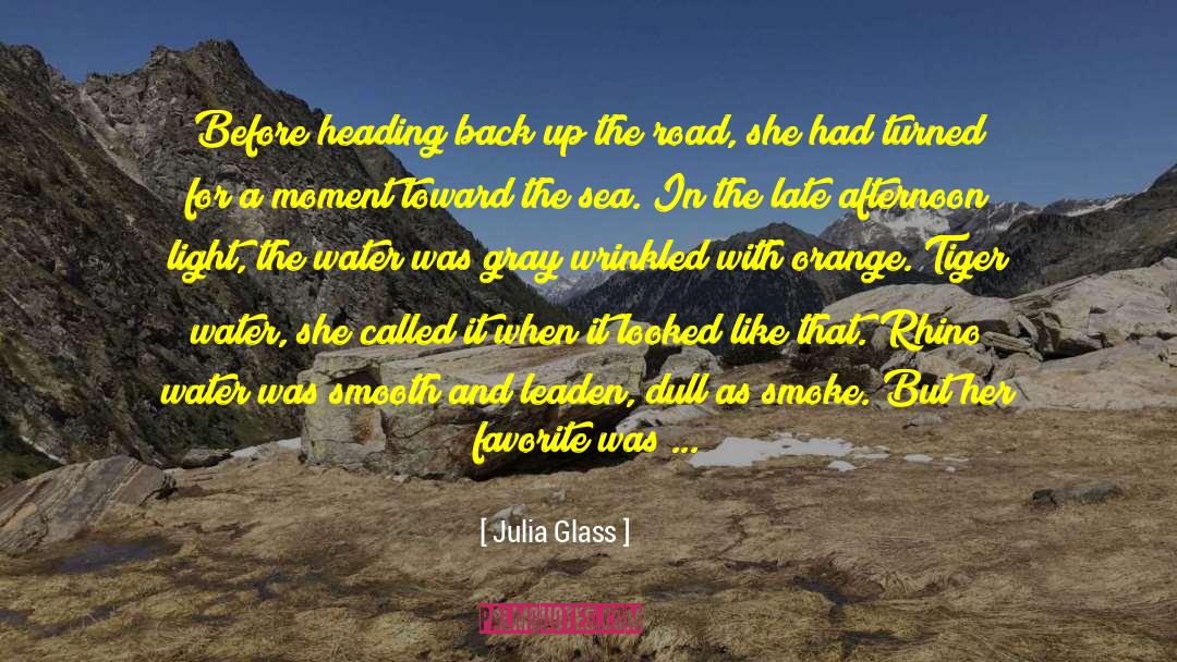 Julia Glass Quotes: Before heading back up the