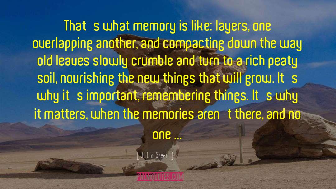 Julia Green Quotes: That's what memory is like: