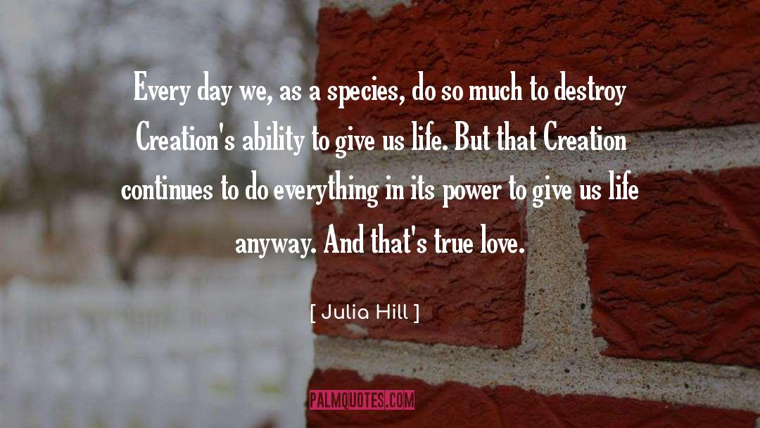 Julia Hill Quotes: Every day we, as a