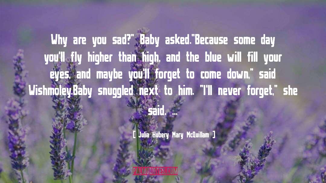 Julia Hubery Mary McQuillam Quotes: Why are you sad?