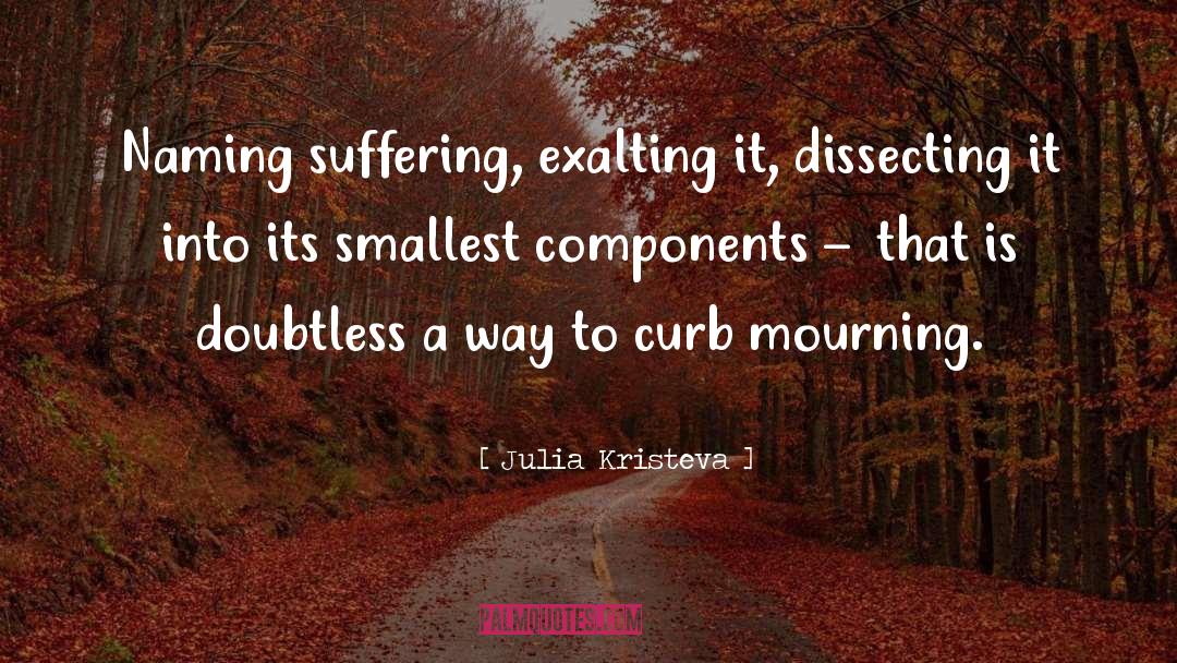 Julia Kristeva Quotes: Naming suffering, exalting it, dissecting