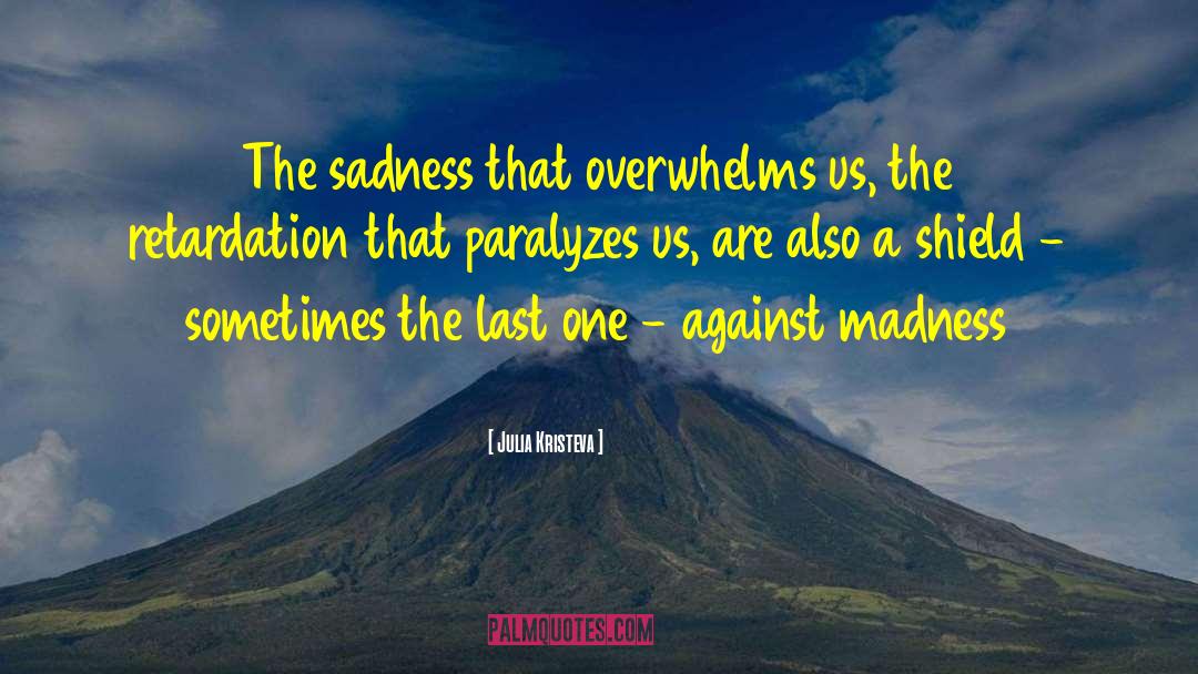 Julia Kristeva Quotes: The sadness that overwhelms us,