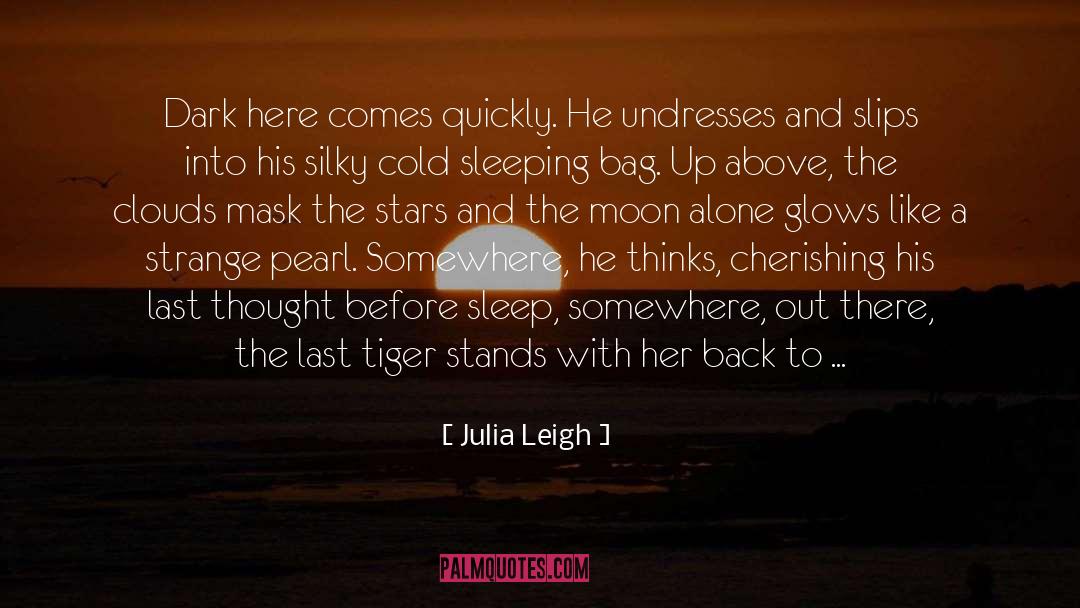 Julia Leigh Quotes: Dark here comes quickly. He