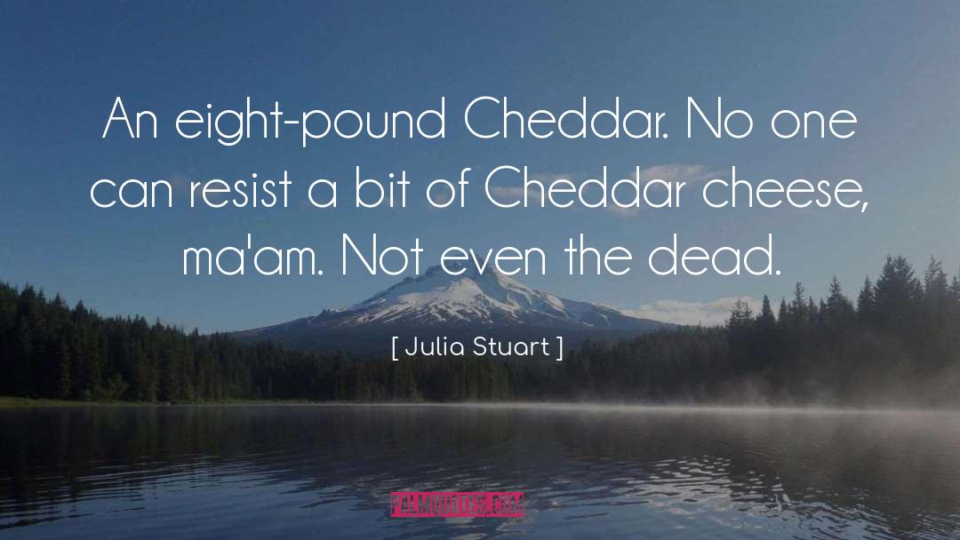 Julia Stuart Quotes: An eight-pound Cheddar. No one