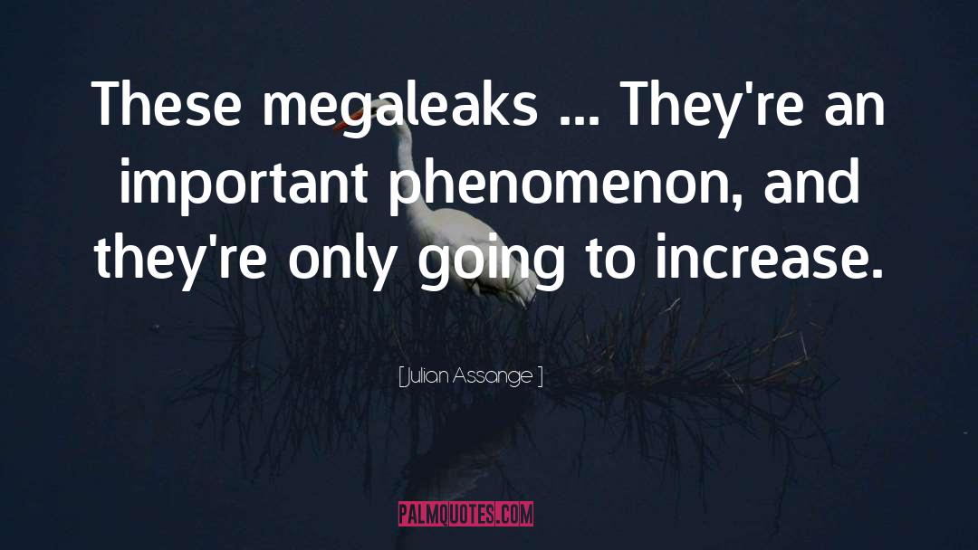 Julian Assange Quotes: These megaleaks ... They're an