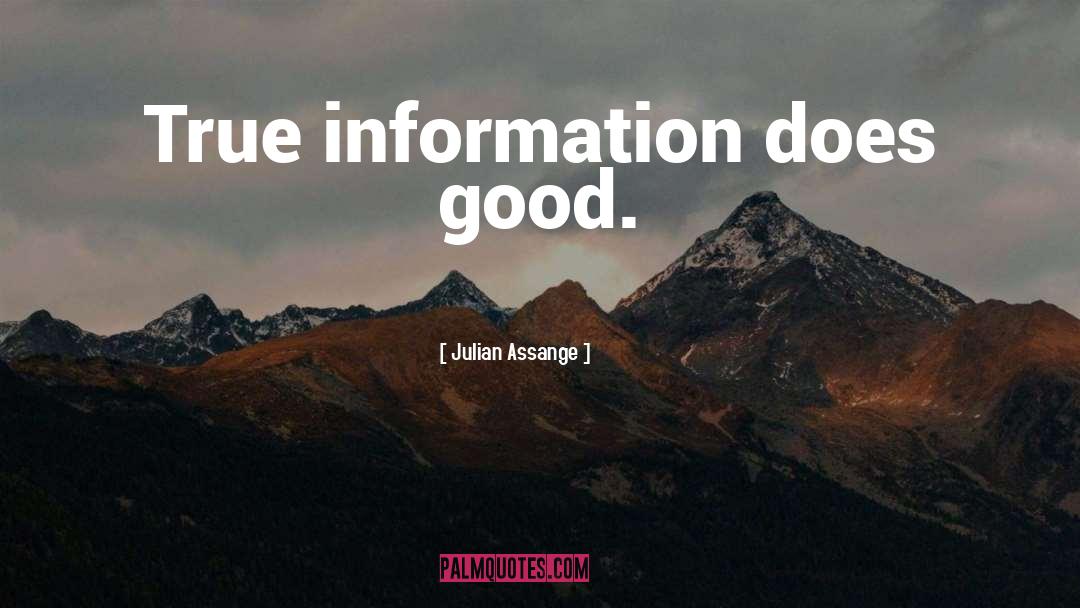 Julian Assange Quotes: True information does good.