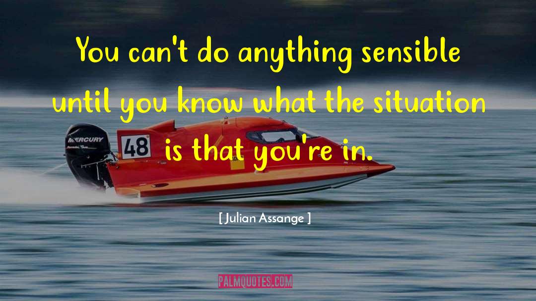 Julian Assange Quotes: You can't do anything sensible