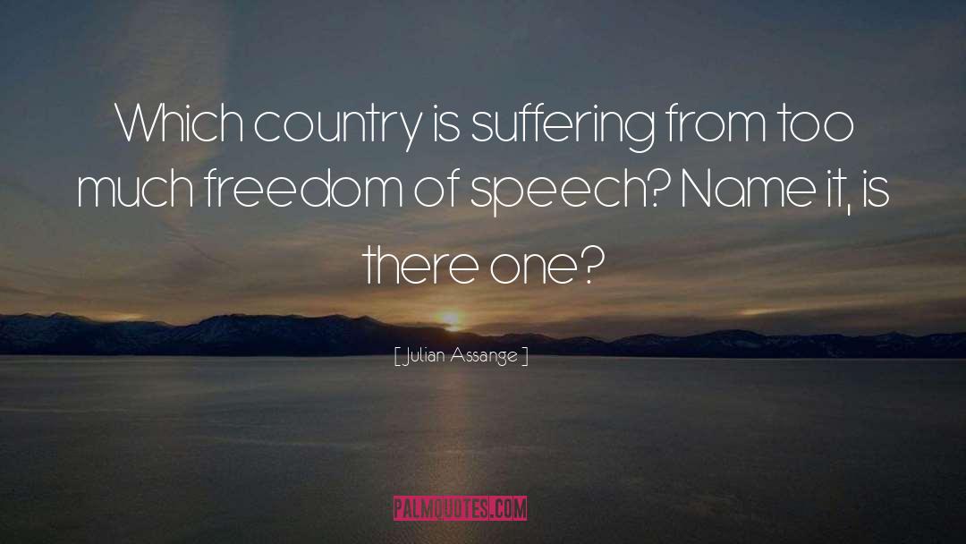 Julian Assange Quotes: Which country is suffering from