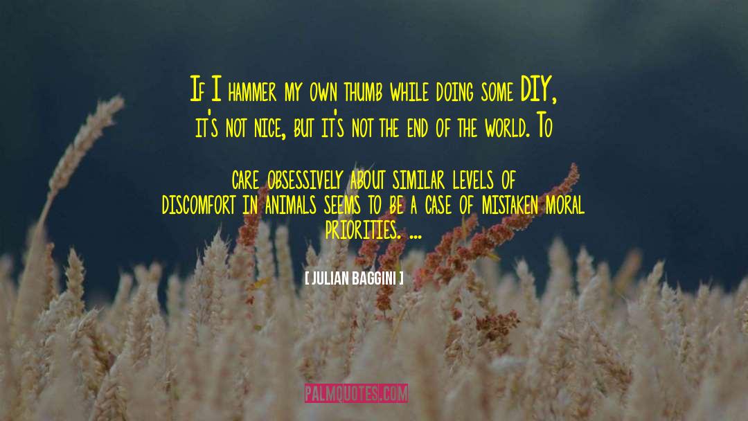 Julian Baggini Quotes: If I hammer my own