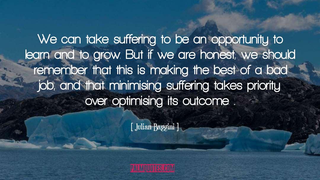 Julian Baggini Quotes: We can take suffering to