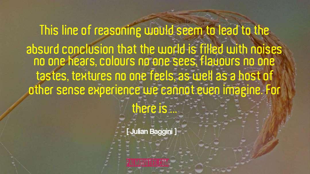 Julian Baggini Quotes: This line of reasoning would