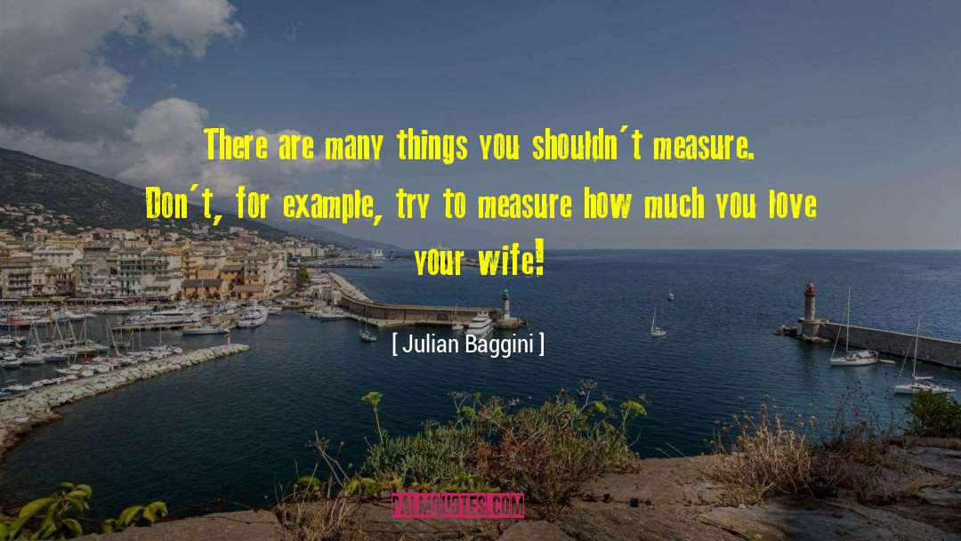 Julian Baggini Quotes: There are many things you