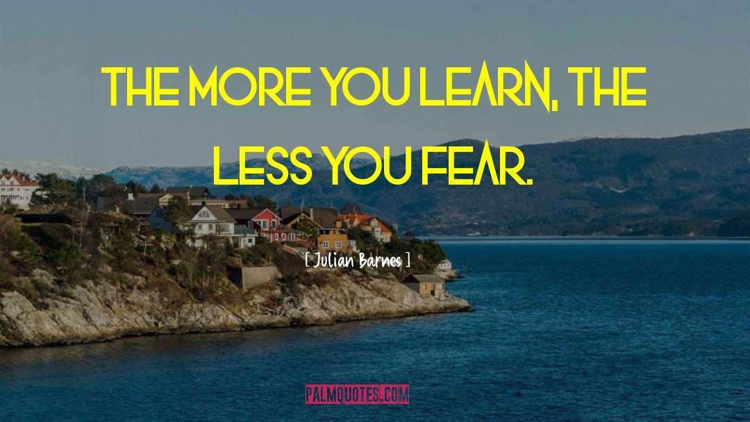 Julian Barnes Quotes: The more you learn, the