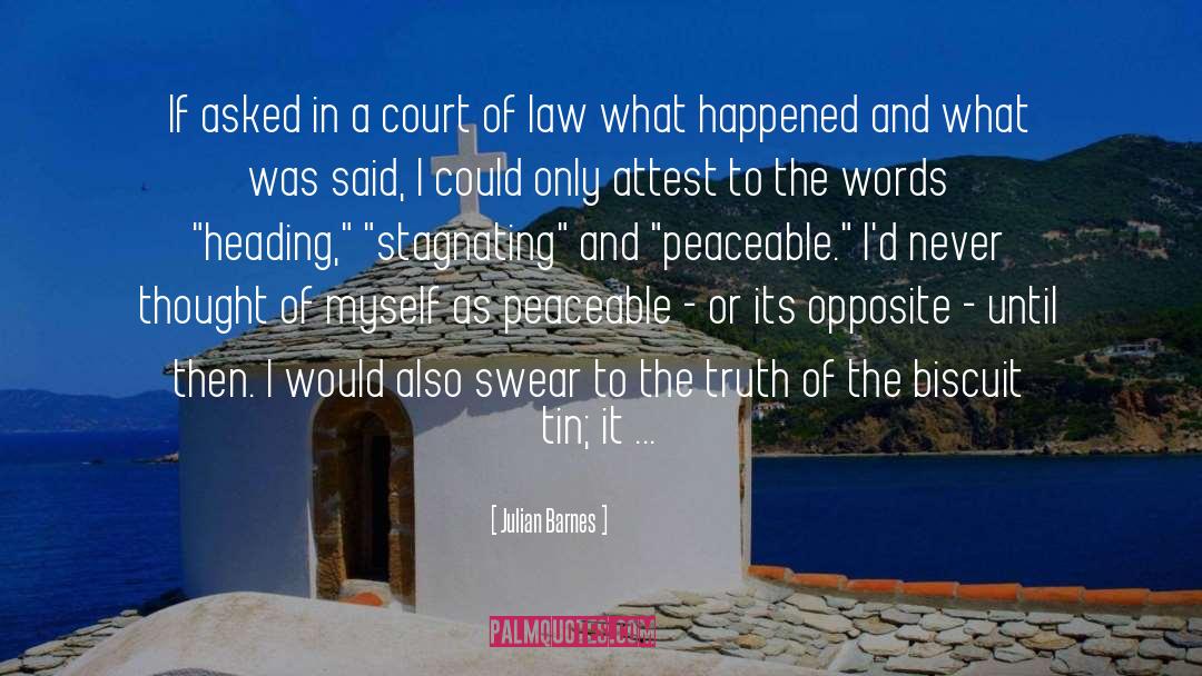 Julian Barnes Quotes: If asked in a court