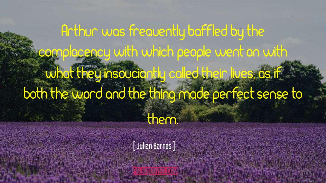 Julian Barnes Quotes: Arthur was frequently baffled by