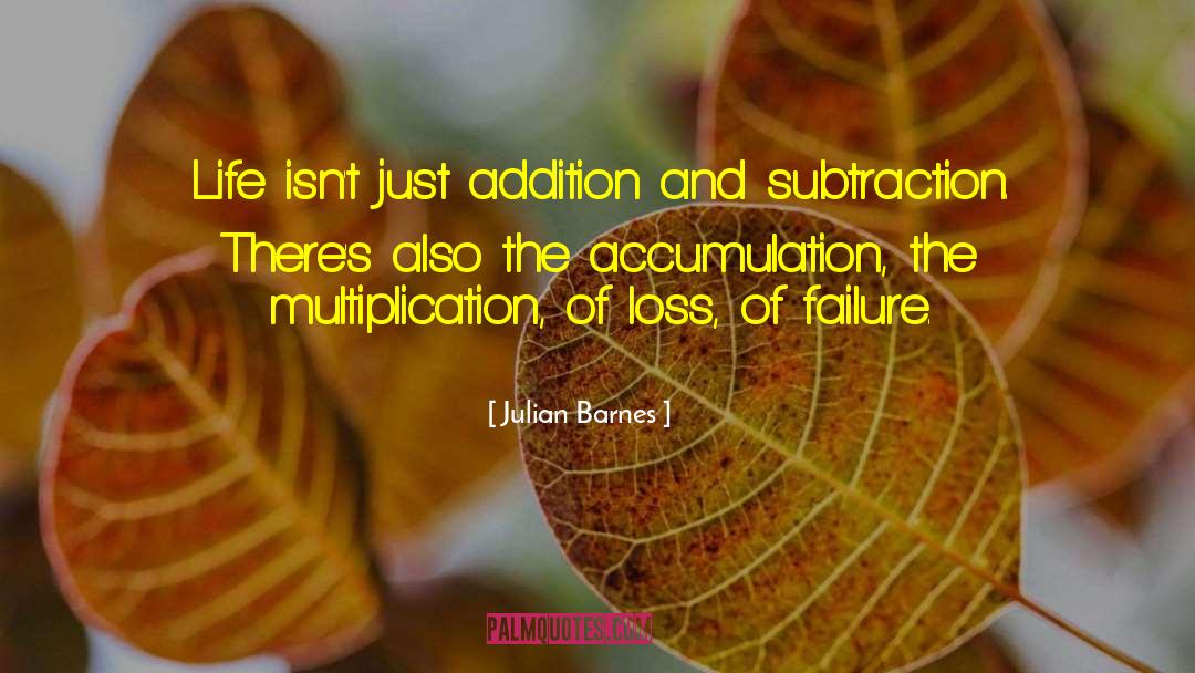 Julian Barnes Quotes: Life isn't just addition and