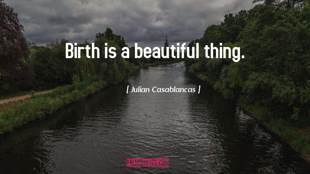 Julian Casablancas Quotes: Birth is a beautiful thing.