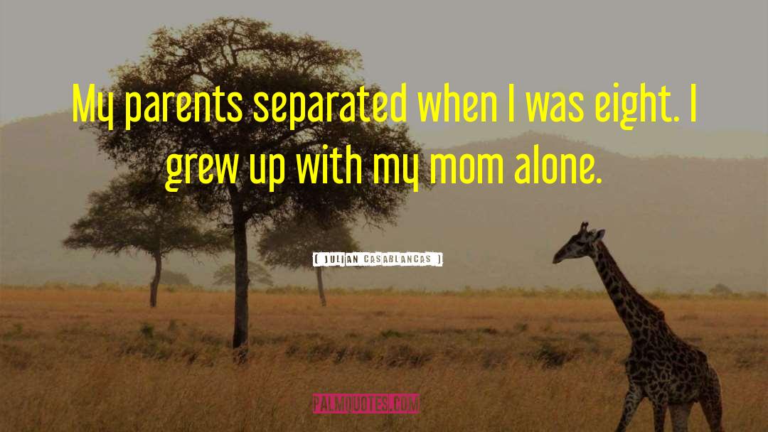 Julian Casablancas Quotes: My parents separated when I