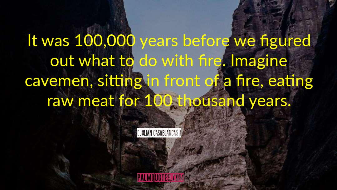 Julian Casablancas Quotes: It was 100,000 years before