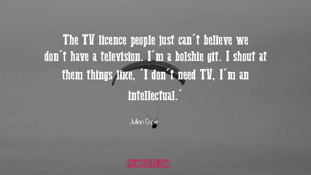 Julian Cope Quotes: The TV licence people just