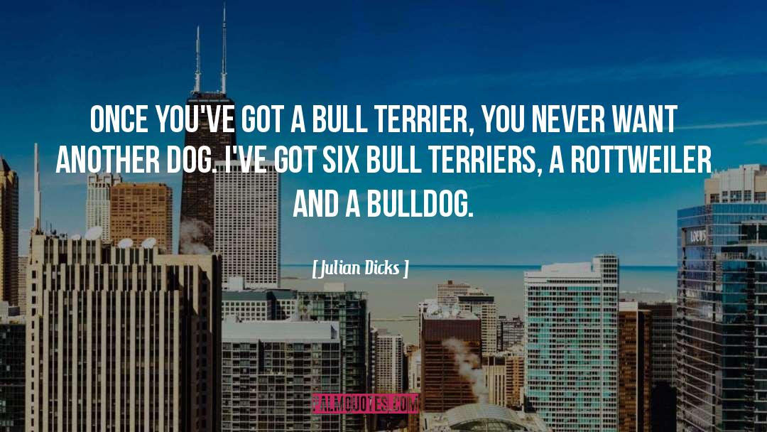Julian Dicks Quotes: Once you've got a bull