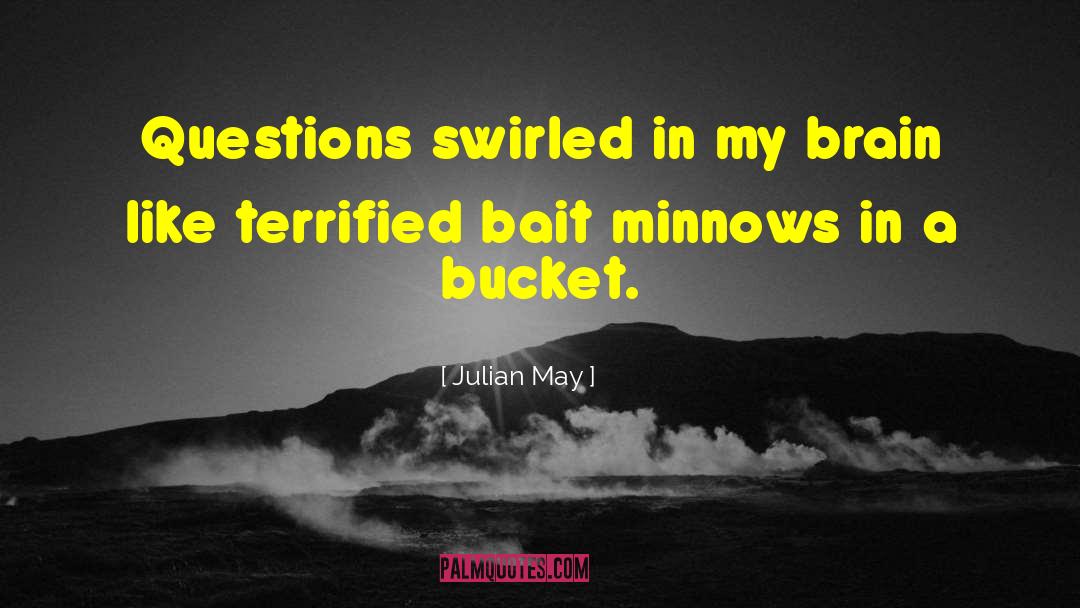 Julian May Quotes: Questions swirled in my brain
