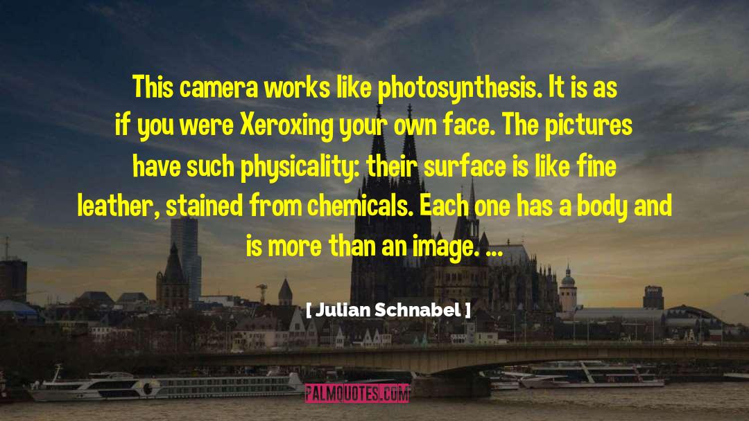 Julian Schnabel Quotes: This camera works like photosynthesis.