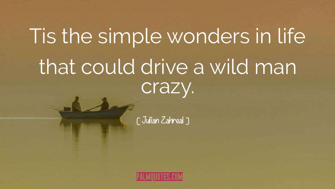 Julian Zahreal Quotes: Tis the simple wonders in