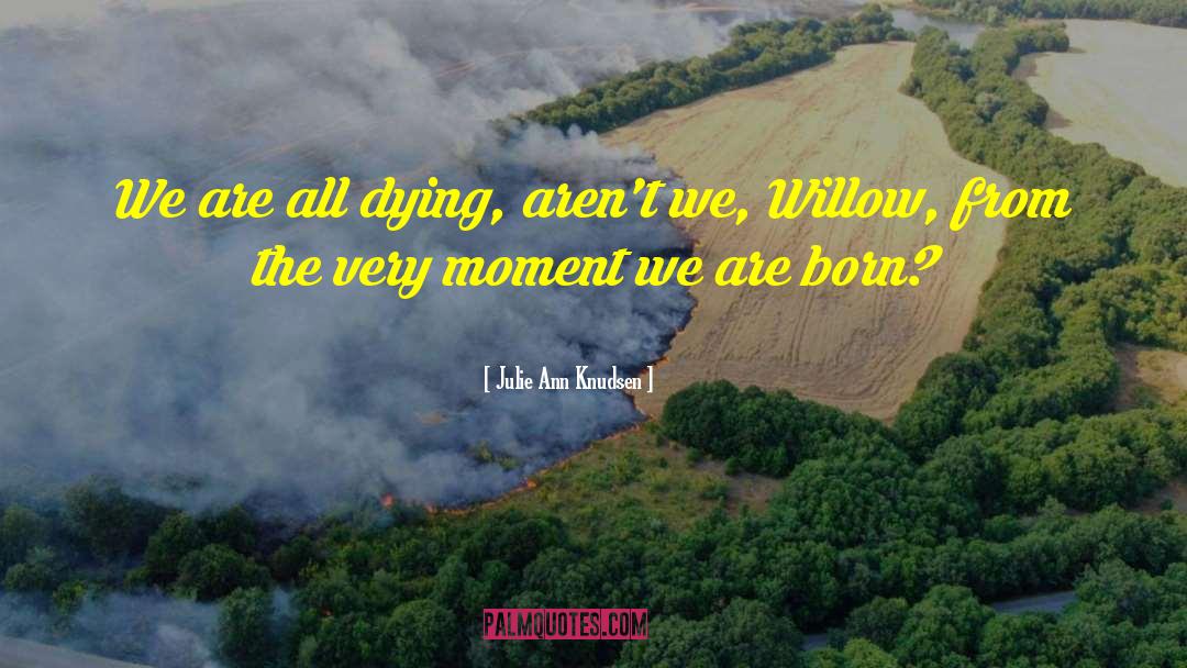 Julie Ann Knudsen Quotes: We are all dying, aren't
