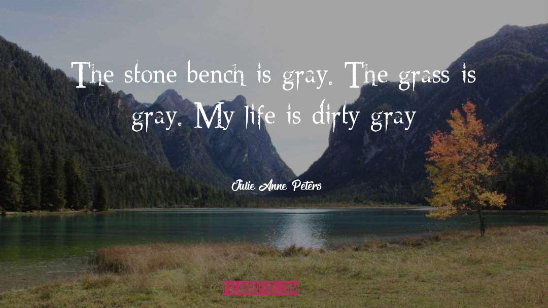 Julie Anne Peters Quotes: The stone bench is gray.