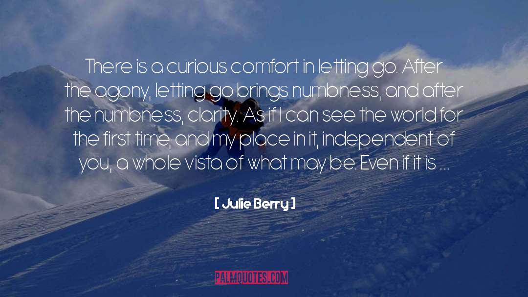 Julie Berry Quotes: There is a curious comfort