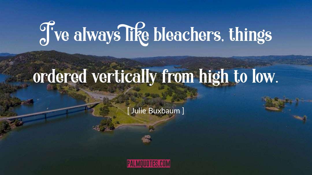 Julie Buxbaum Quotes: I've always like bleachers, things